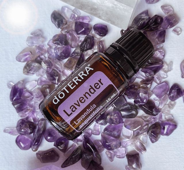 doterra Lavendel
